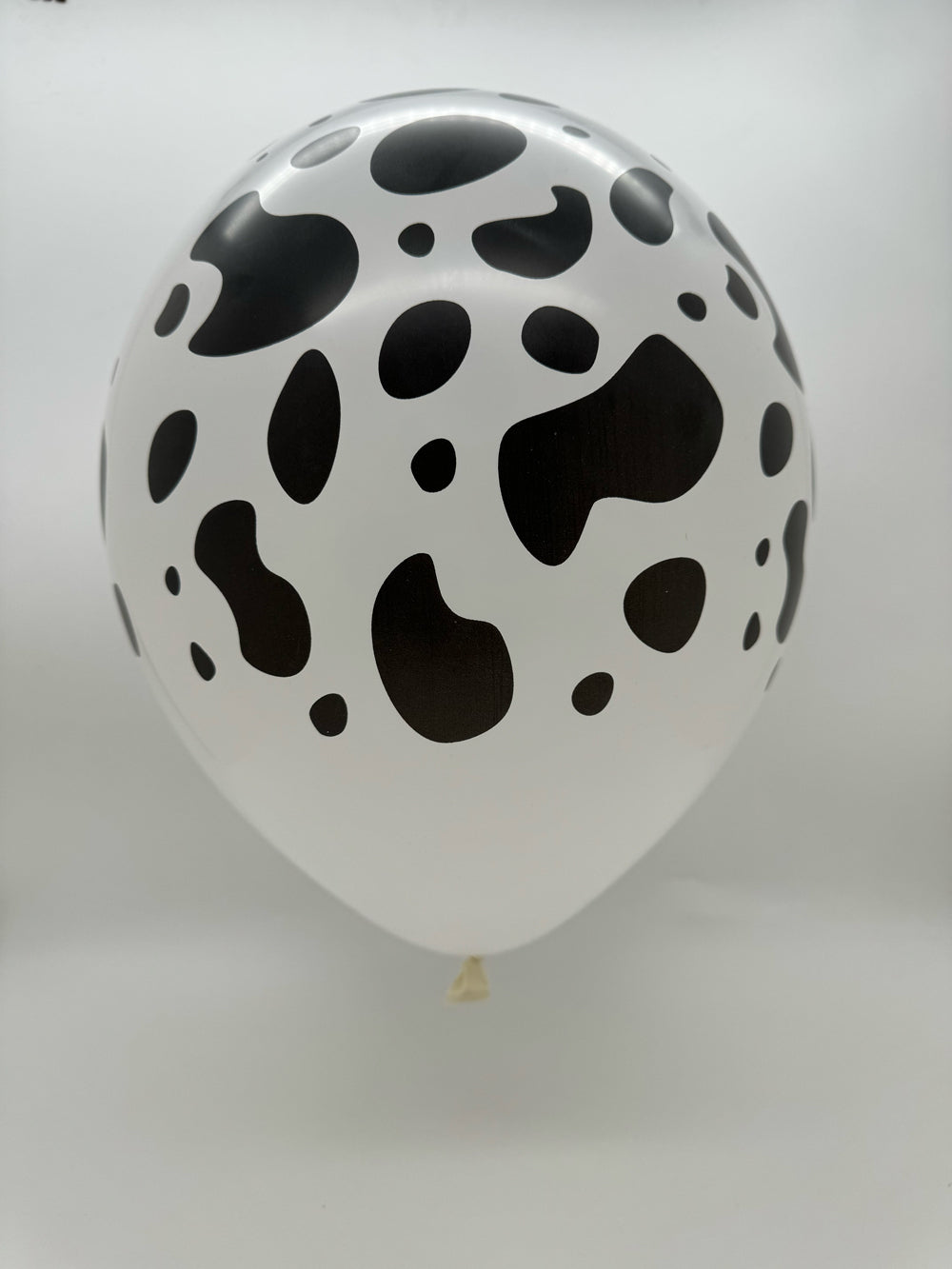 Not Inflated 12" Latex Balloons All Around Cow Printed Decomex White Manufactured By Decomex Vietnam Exclusive to 