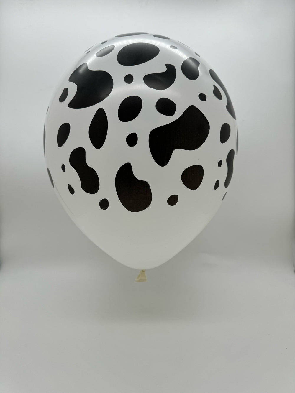 Uninflated 12" Latex Balloons All Around Cow Printed Decomex White Made By Decomex Vietnam Exclusive to 